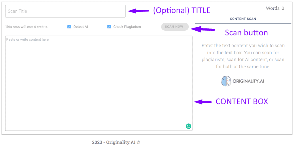 Originality AI review: Interface